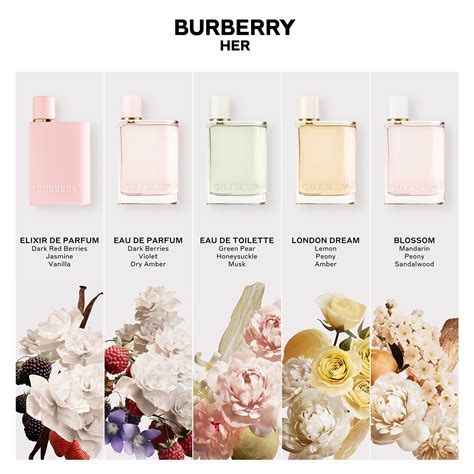 burberry perfume set|burberry perfume set for women.